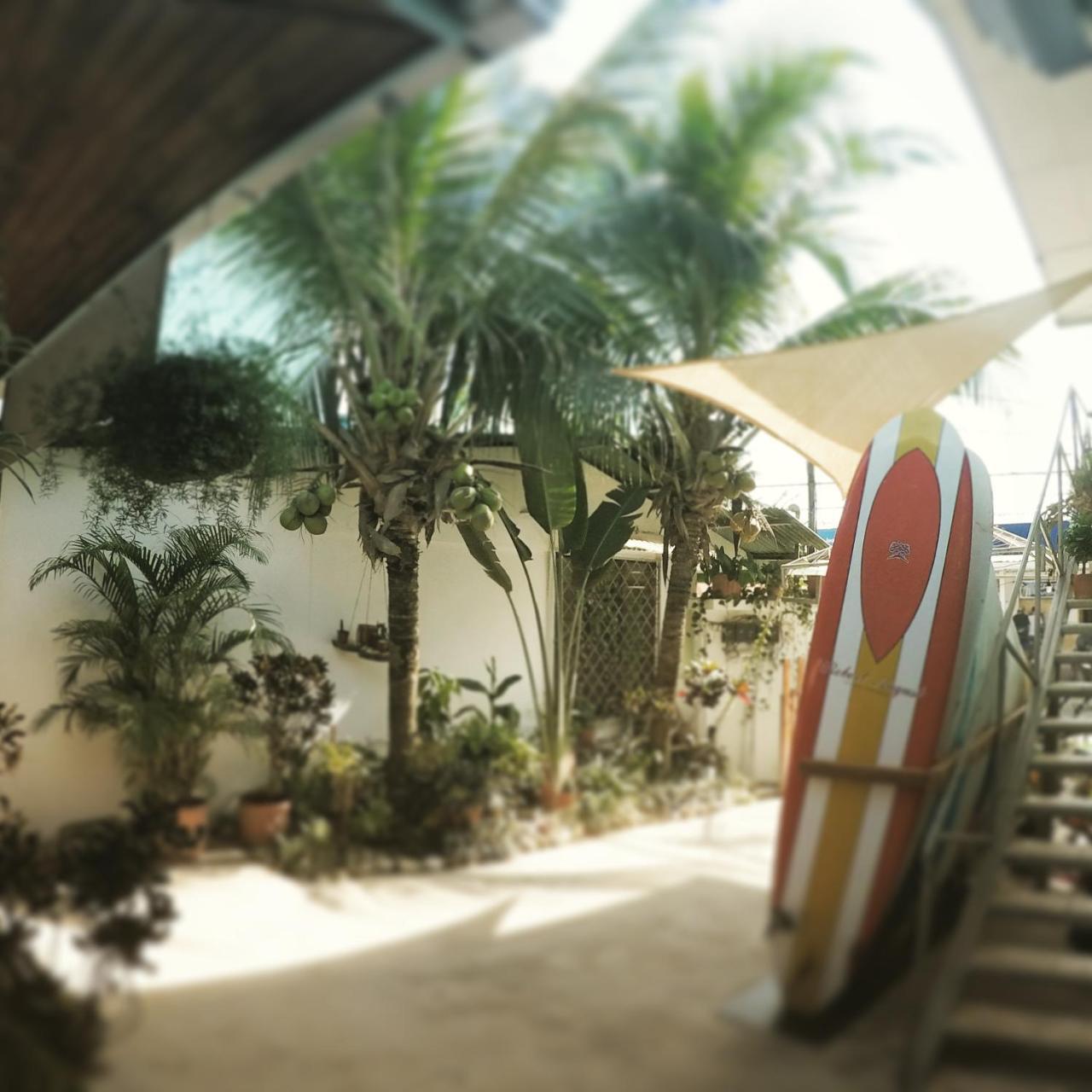 Cocobolo Surf Hotel & School Playa Santa Teresa  Dış mekan fotoğraf
