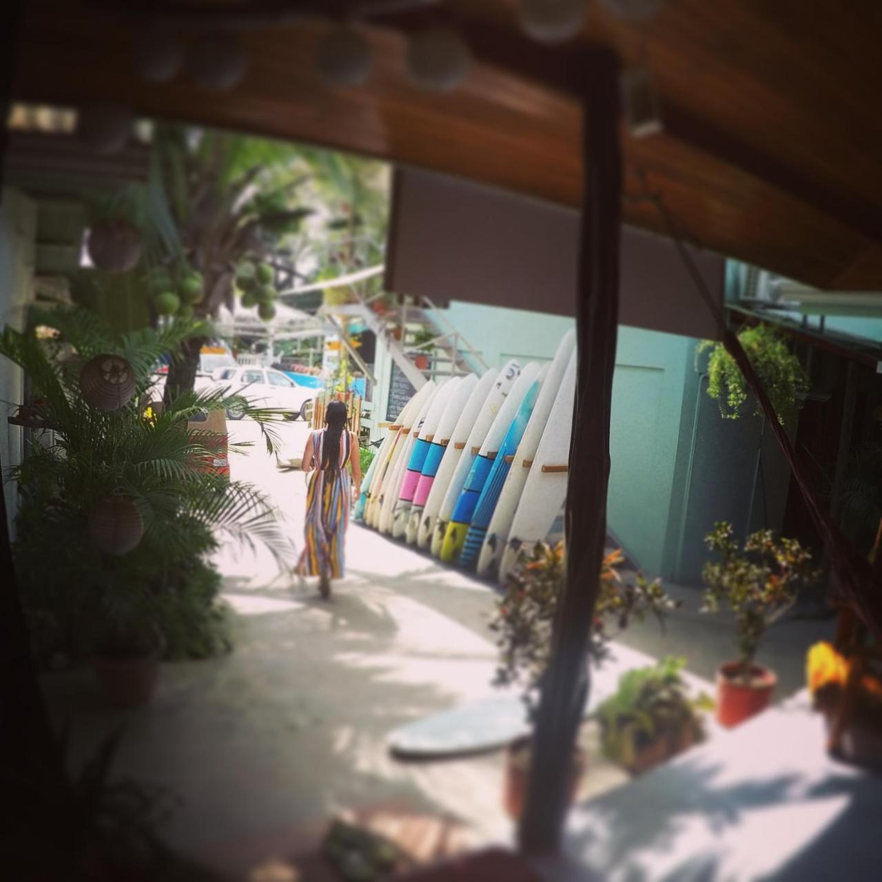 Cocobolo Surf Hotel & School Playa Santa Teresa  Dış mekan fotoğraf